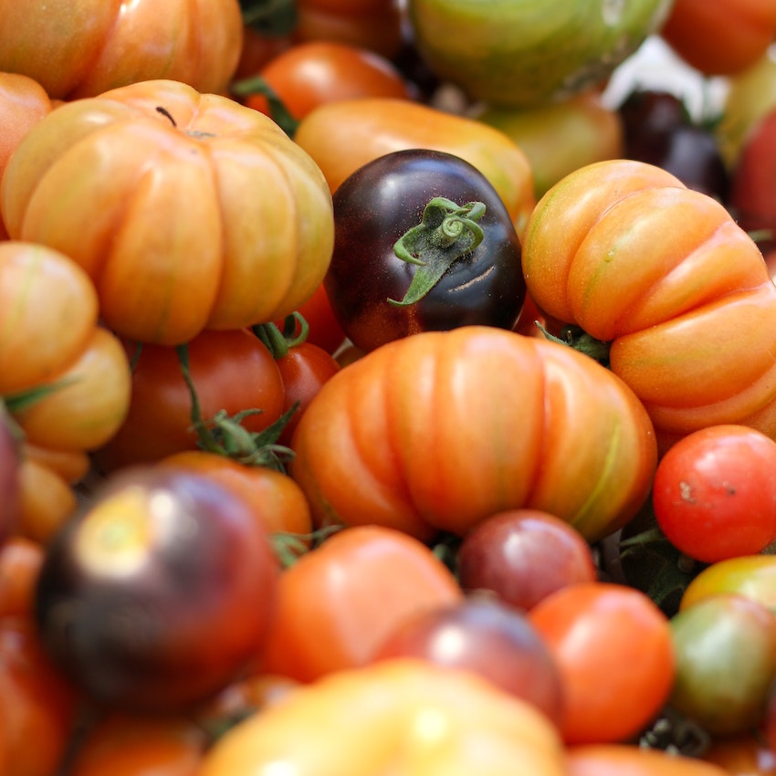 Why everyone's talking about antioxidants